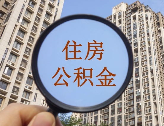武义县单位补缴公积金需要什么手续（单位补缴公积金需要什么资料）